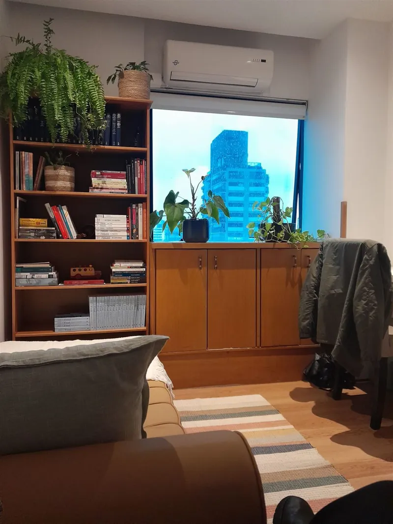 Janela do consultório com plantas e vista da cidade